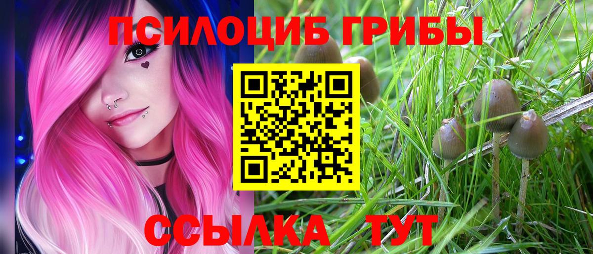 Галлюциногенные грибы Magic Shrooms Красный Сулин